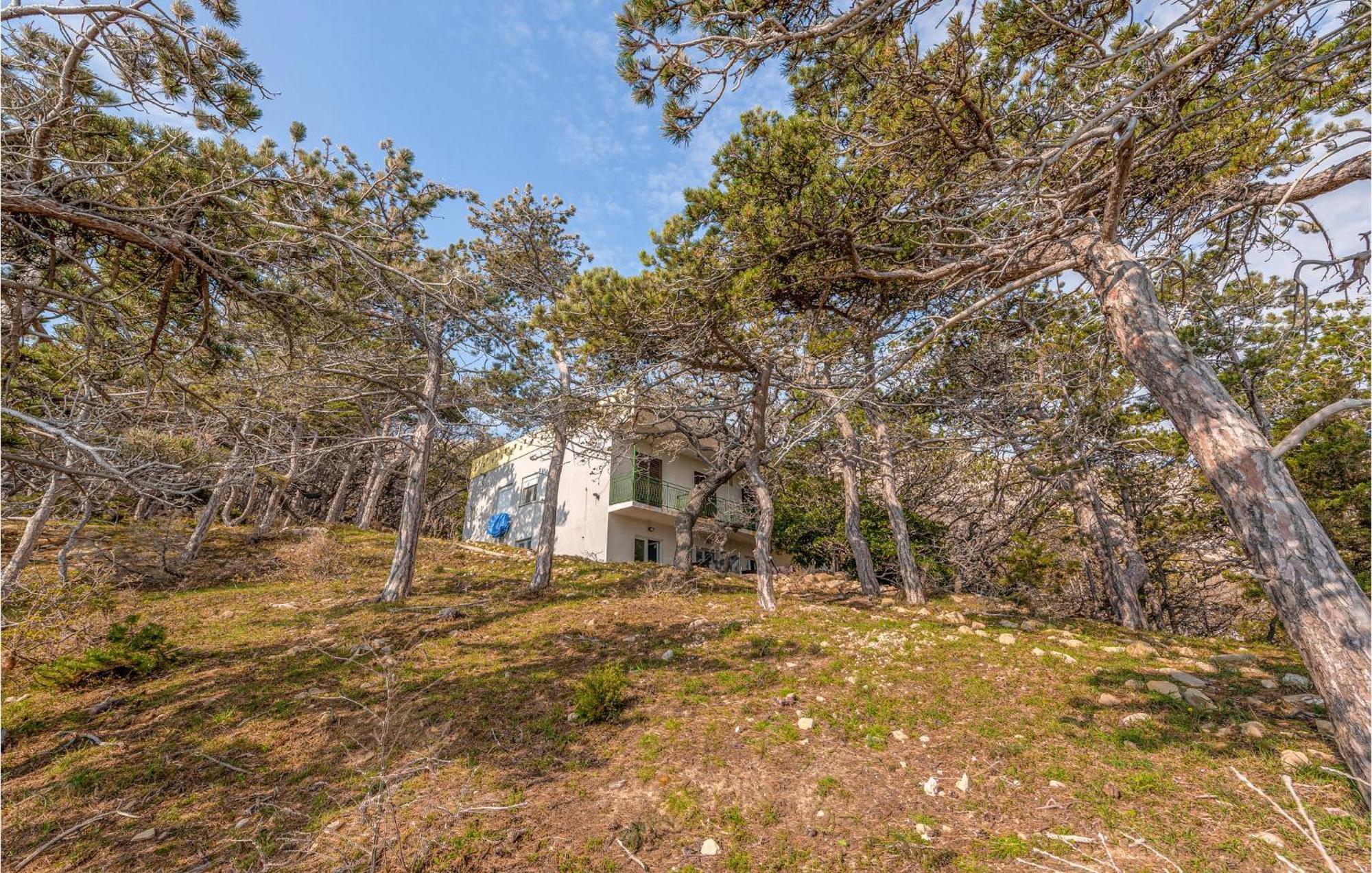 Pet Friendly Apartment In Novalja With Kitchen Exterior photo